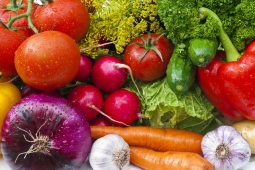 conservas vegetales