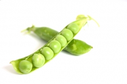 Guisantes