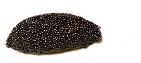 Caviar