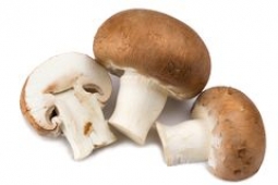 Champiñones
